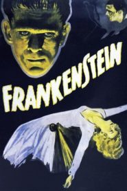 Frankeştayn (1931) Türkçe Dublaj izle