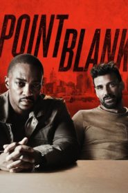 Point Blank (2019) Türkçe Dublaj izle