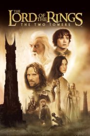 Yüzüklerin Efendisi 2: İki Kule (2002) Türkçe Dublaj izle