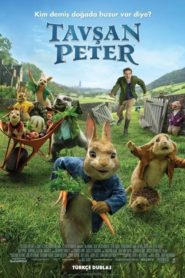 Tavşan Peter (2018) izle