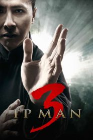 Ip Man 3 (2015) Türkçe Dublaj izle