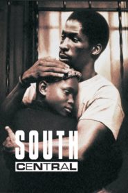 South Central (1992) Türkçe Dublaj izle