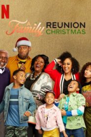 A Family Reunion Christmas (2019) Türkçe Dublaj izle