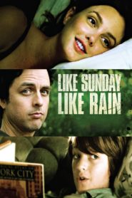 Yağmurlu Bir Pazar (2014) Türkçe Dublaj izle