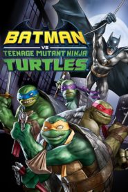 Batman: Ninja Kaplumbağalar (2019) izle