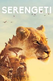 Serengeti (Türkçe Dublaj)
