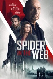 Ağdaki Örümcek (2019) Türkçe Dublaj izle