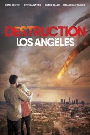 Los Angeles Felaketi (2017) Türkçe Dublaj izle