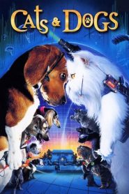 Kediler ve Köpekler (2001) Türkçe Dublaj izle