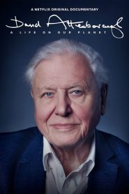 David Attenborough: Gezegenimizden Bir Yaşam (2020) Türkçe Dublaj izle