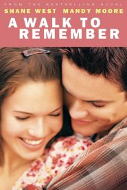 Uzaktaki Anılar (2002) Türkçe Dublaj izle