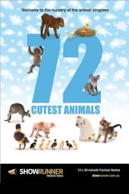 72 Cutest Animals (Türkçe Dublaj)