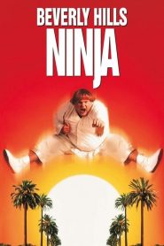 Beverly Hills Ninjası (1997) Türkçe Dublaj izle