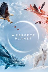 A Perfect Planet (Türkçe Dublaj)