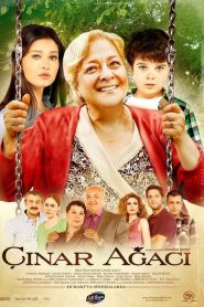 Çınar Ağacı (2011) Yerli Film izle