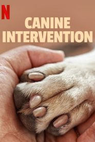 Canine Intervention (Türkçe Dublaj)