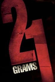 21 Gram (2003) Türkçe Dublaj izle