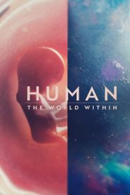 Human: The World Within (Türkçe Dublaj)