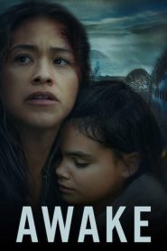 Awake (2021) Türkçe Dublaj izle