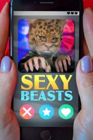 Sexy Beasts (Türkçe Dublaj)