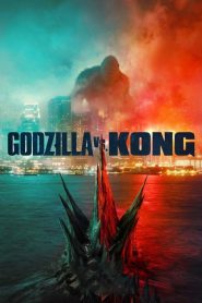 Godzilla vs. Kong (2021) Türkçe Dublaj izle