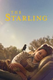 The Starling (2021) Türkçe Dublaj izle
