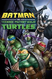 Batman: Ninja Kaplumbağalar (2019) Türkçe Dublaj izle