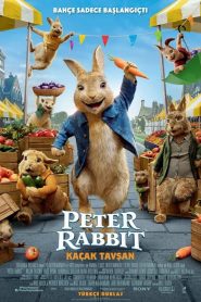 Peter Rabbit 2: Kaçak Tavşan (2021) Türkçe Dublaj izle