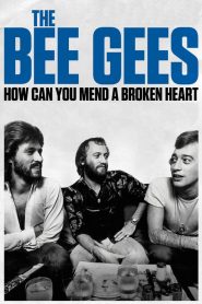 The Bee Gees: How Can You Mend a Broken Heart (2020) Türkçe Dublaj izle