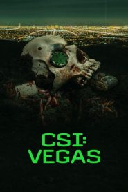 CSI: Vegas (Türkçe Dublaj)