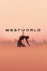 Westworld (Türkçe Dublaj)