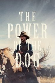 Köpeğin Gücü (2021) Türkçe Dublaj izle