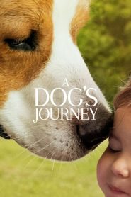 Bir Köpeğin Serüveni (2019) Türkçe Dublaj izle