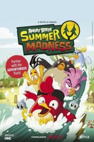Angry Birds: Summer Madness (Türkçe Dublaj)