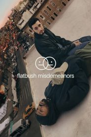 Flatbush Misdemeanors (Türkçe Dublaj)
