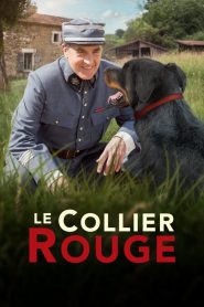 Le Collier rouge (2018) Türkçe Dublaj izle