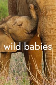 Wild Babies (Türkçe Dublaj)