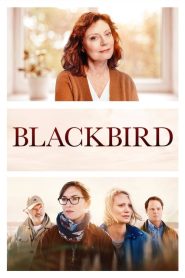 Blackbird (2019) Türkçe Dublaj izle