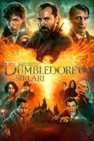 Fantastik Canavarlar: Dumbledore’un Sırları (2022) Türkçe Dublaj izle