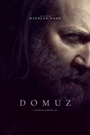 Domuz (2021) Türkçe Dublaj izle