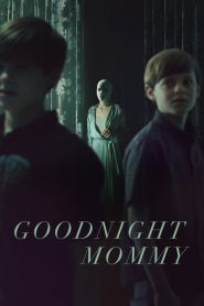 İyi Geceler Anne (2022) izle