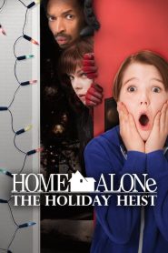 Evde Tek Başına 5: Tatilde Soygun (2012) izle