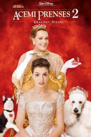 Acemi Prenses 2: Kraliyet Nişanı (2004) Türkçe Dublaj izle