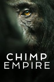 Chimp Empire (Türkçe Dublaj)