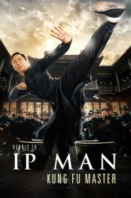 Ip Man: Kung Fu Ustası (2019) Türkçe Dublaj izle