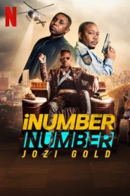 iNumber Number: Johannesburg Altınları (2023) Türkçe Dublaj izle