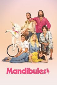 Mandibules (2020) Türkçe Dublaj izle