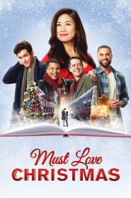 Noel’de Aşk Başkadır (2022) izle