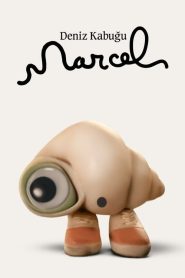Deniz Kabuğu Marcel (2022) Türkçe Dublaj izle
