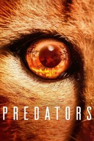 Predators (Türkçe Dublaj)